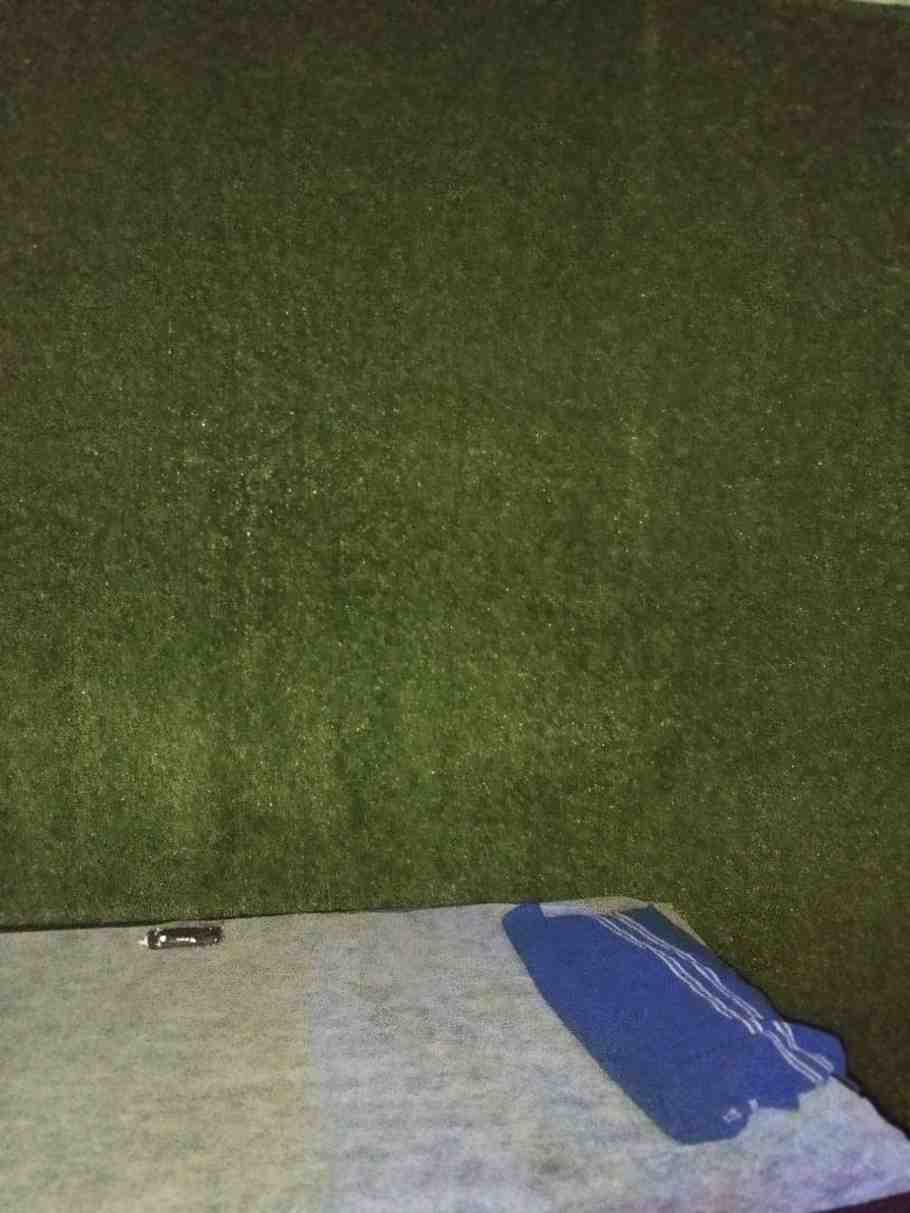 NEW LOTUS SPA img